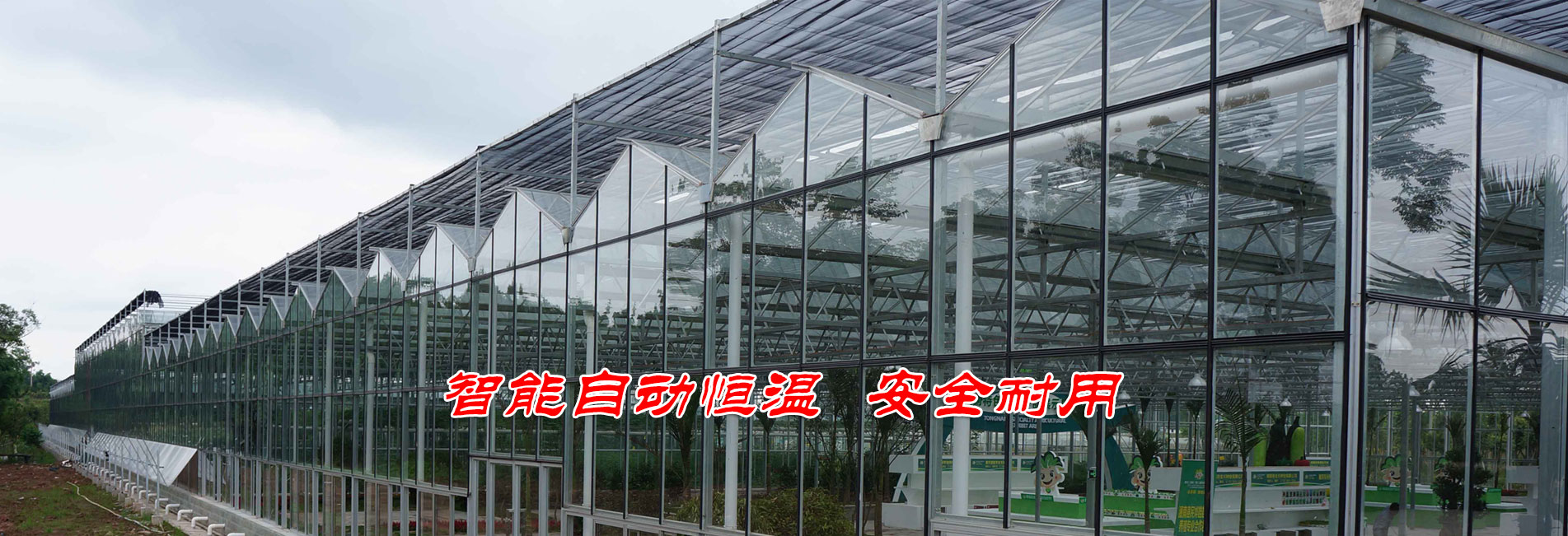 烏魯木齊企口實木運動地板大全