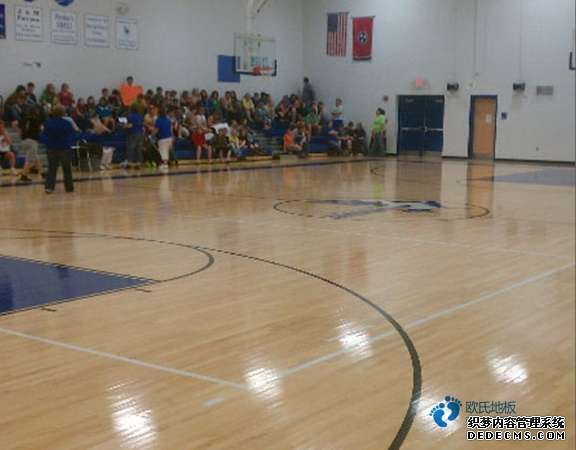 專業(yè)籃球館木地板什么牌子好